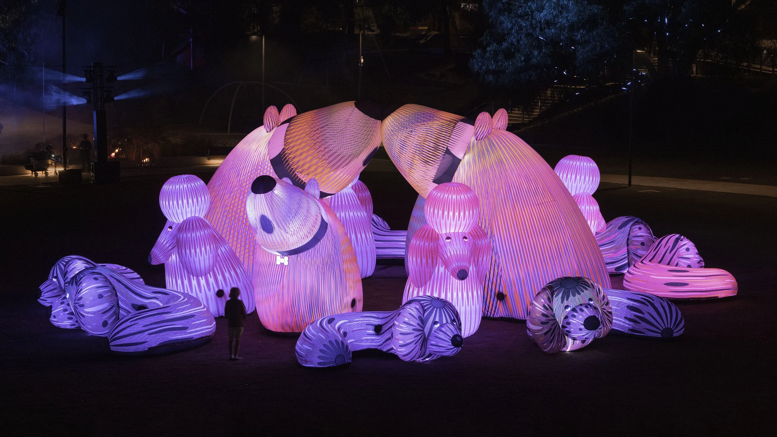 LOST DOGS' DISCO | Immersive Interactive Media & Public Art<br